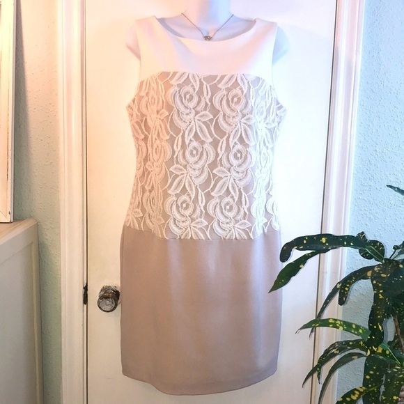 Sandra Darren Ivory Tan Floral Lace Sheath Dress Size 10 - Picture 1 of 13